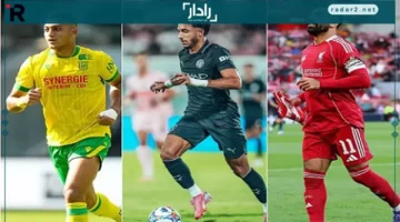 أبرز فعاليات أسبوع المحترفين المصريين في أوروبا